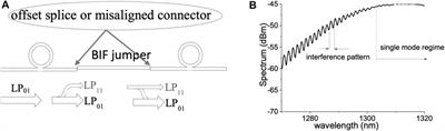 Optical fiber flowmeter based on a single mode-multimode-single mode structure